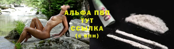 индика Балахна