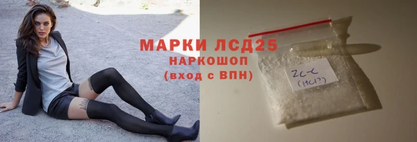 индика Балахна
