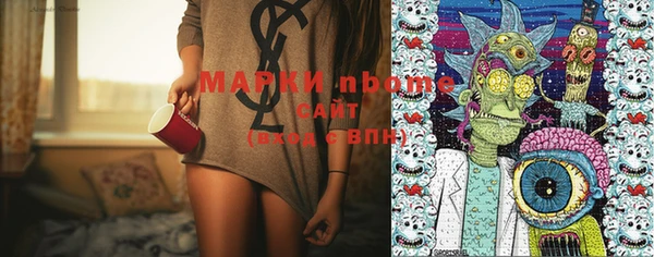 индика Балахна