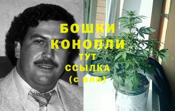 индика Балахна