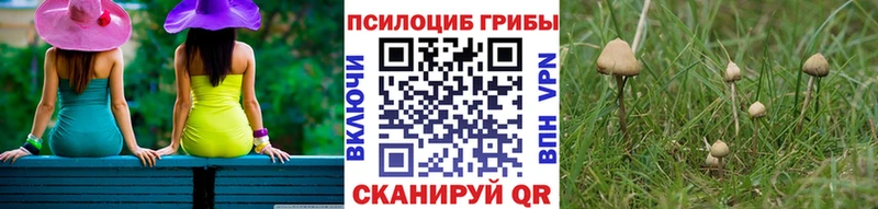Галлюциногенные грибы GOLDEN TEACHER Беслан